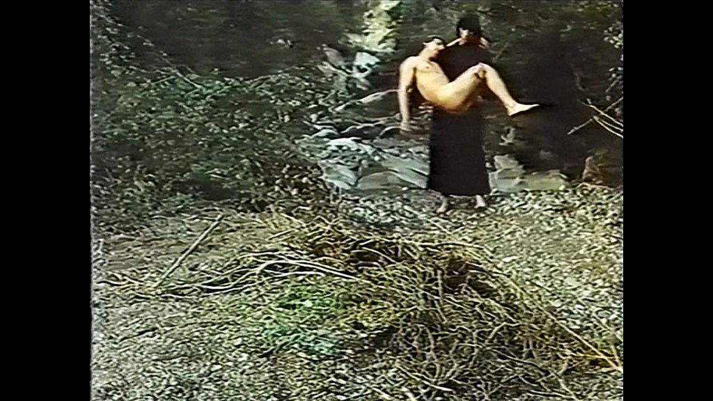 Dimorphic 1981 Dimorfo Directed by Manuel Rodríguez “Rodjara”&nbsp;★★★½