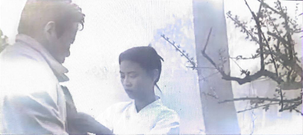 DESCENDENTS OF CAIN-Cainui huye -카인의 후예 (1968)  dir,  Yu Hyun-mok&nbsp;★★★½