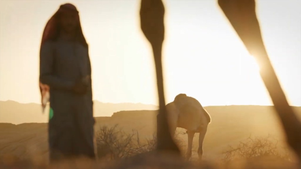 Désert d’Arabie: dans les pas des caravaniers d’autrefois (2024)    dir.Jean-Luc Guidoin&nbsp;★★★½