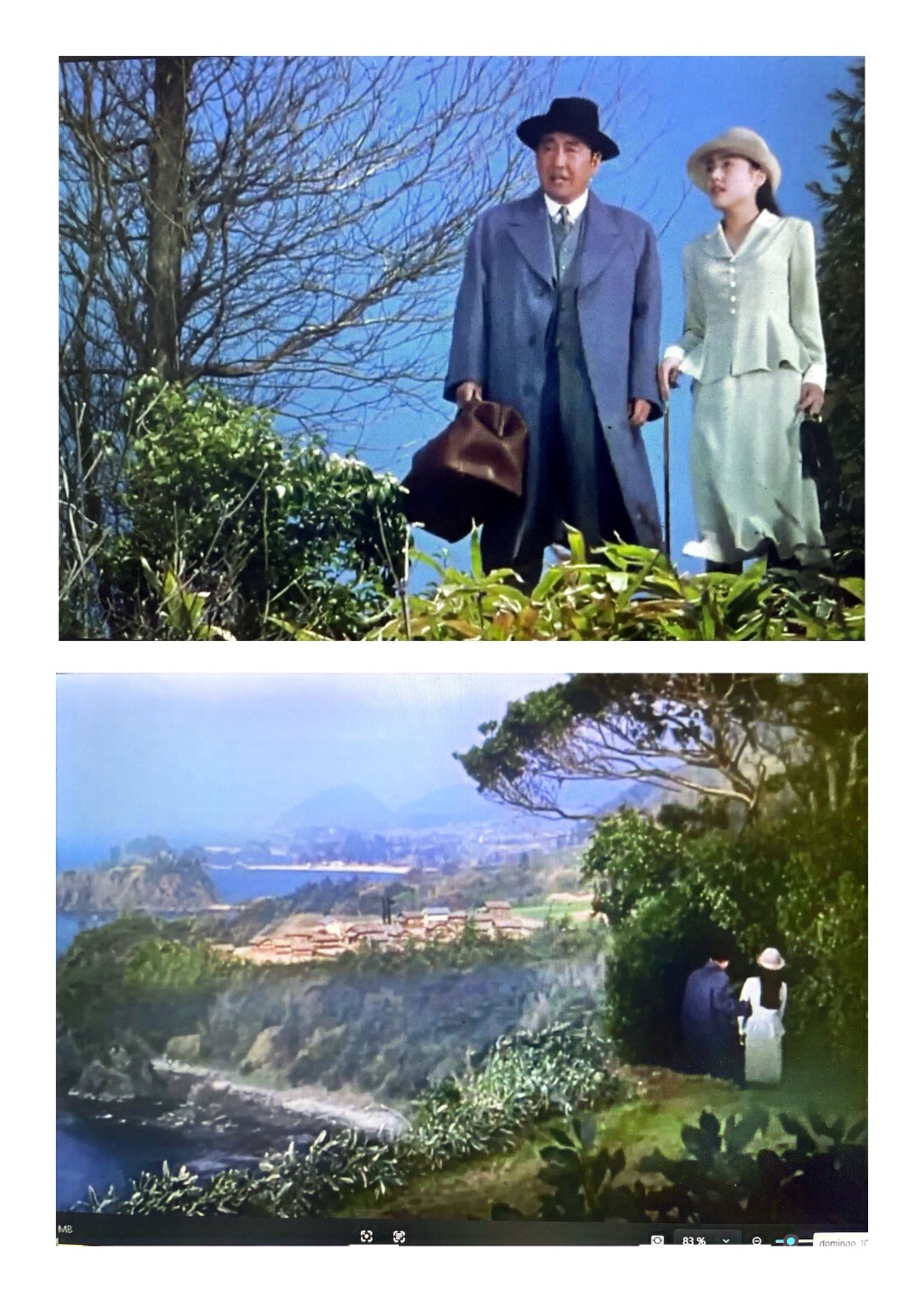 藏 / Kura (1995)  dir, Yasuo Furuhata&nbsp;★★★★★