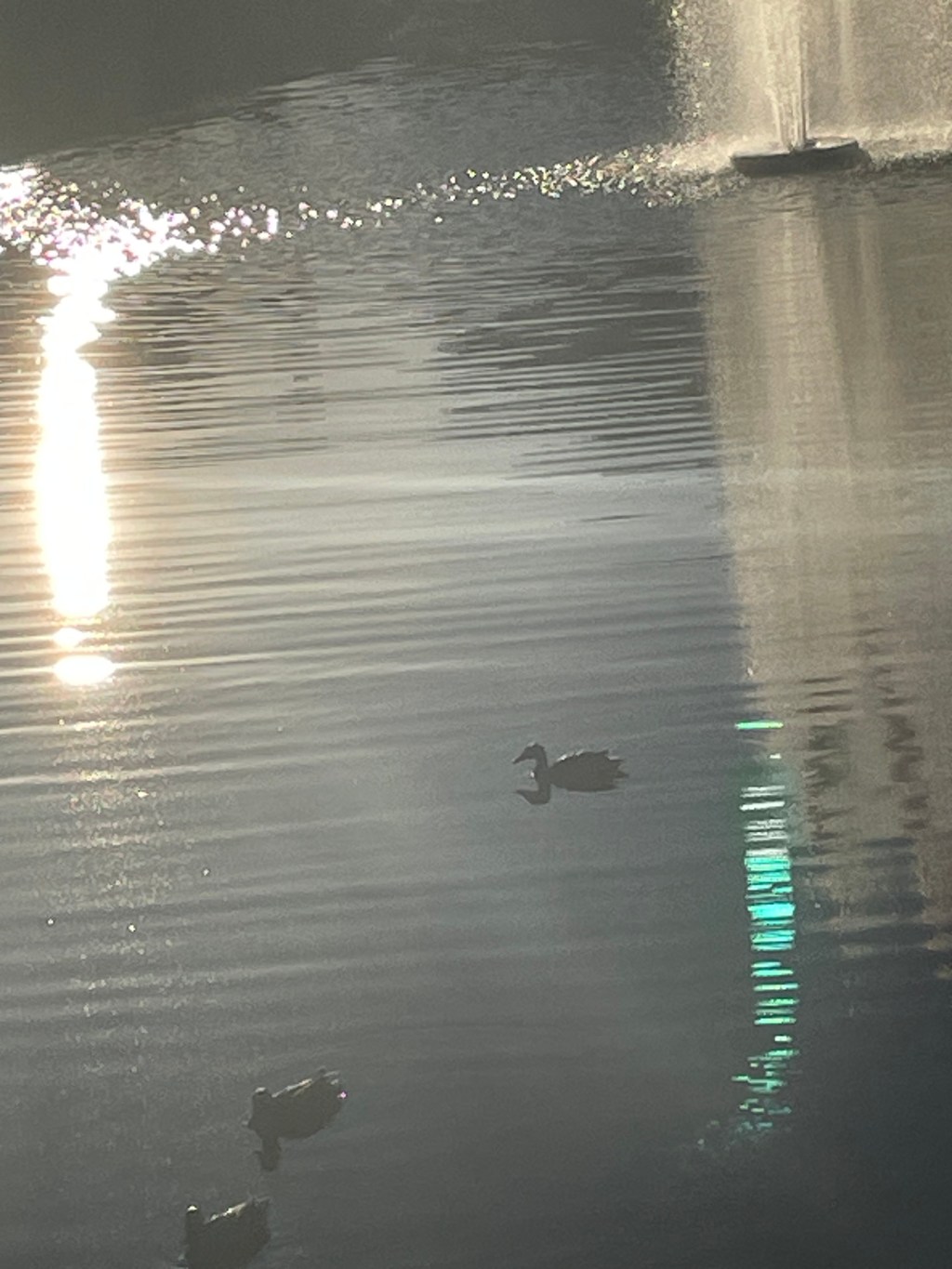 Tears on his rings and chains (2025) Elias Bender Rønnenfelt + Dean Blunt +&nbsp;Vegyn