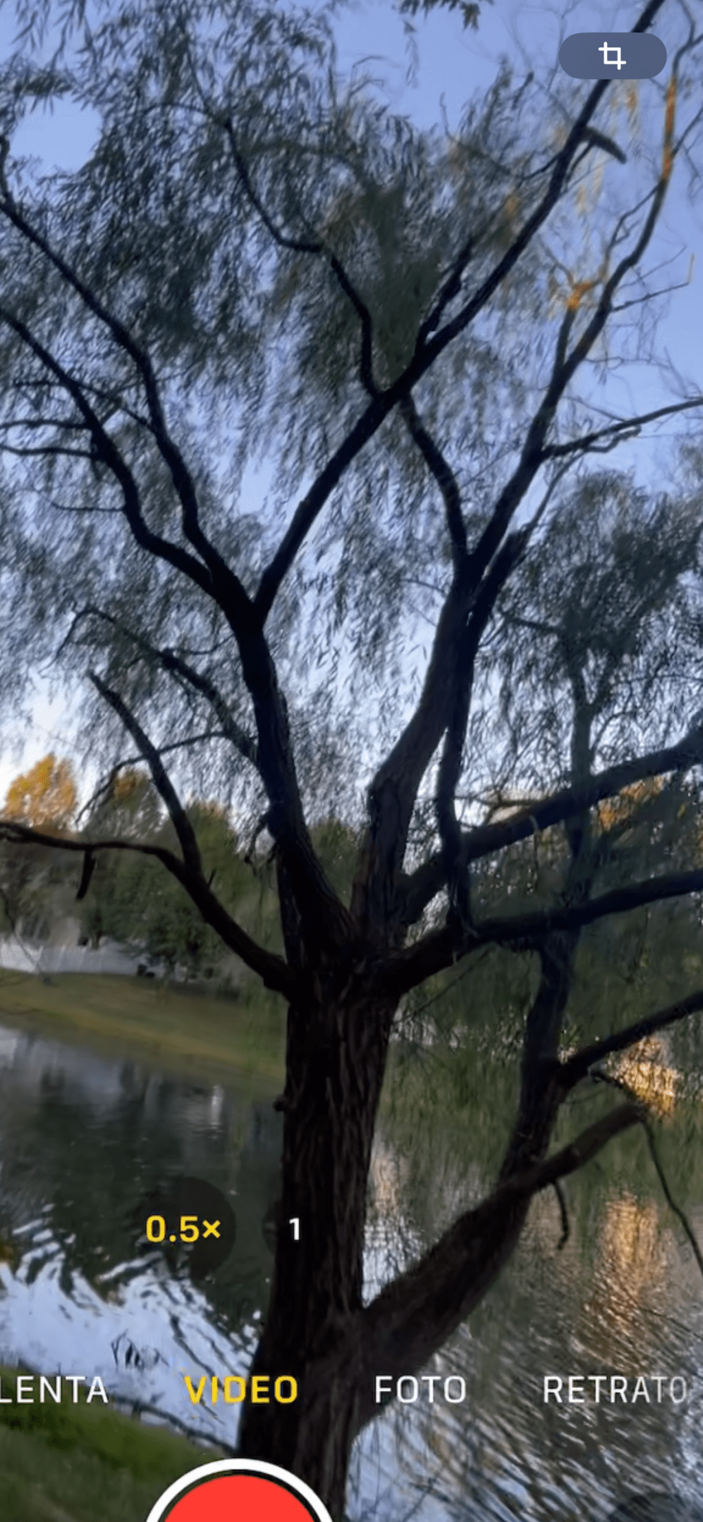 “Echoes” Sorry (2025)