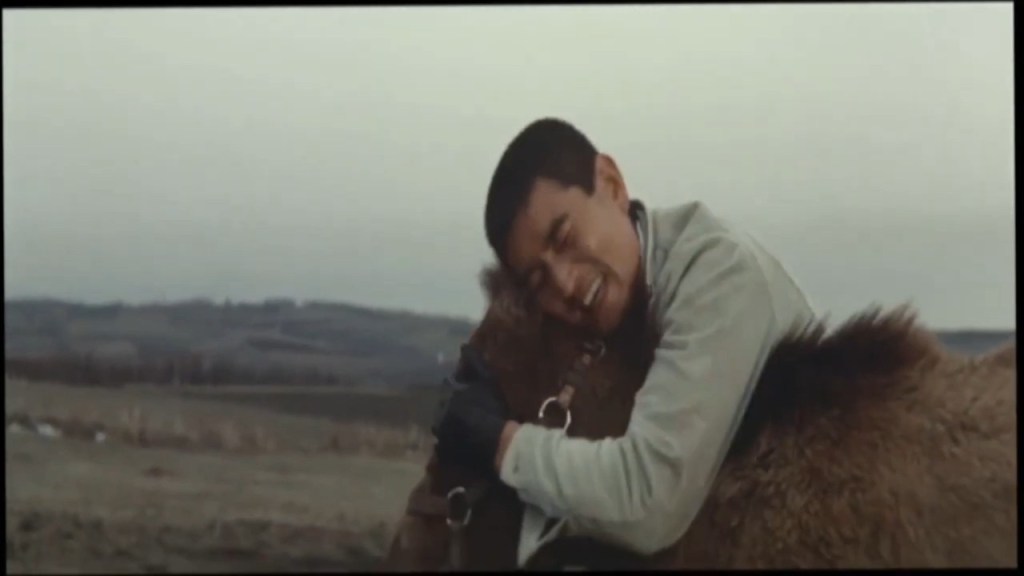網走番外地 荒野の対決/ The Bullet and the Horse (1966) dir,  Teruo Ishii&nbsp;★★★★