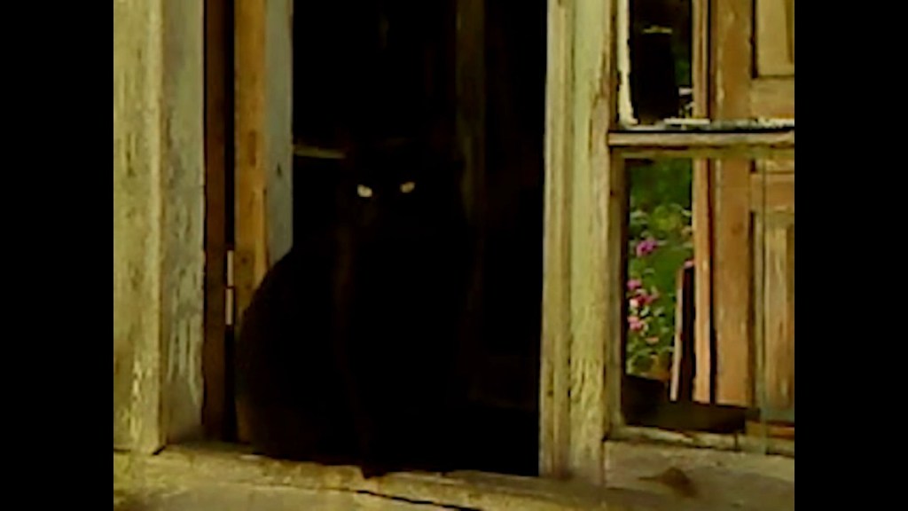 ხმელი ფოთოლი/Dry Leaf (2025) dir, Alexandre Koberidze&nbsp;★★★★½