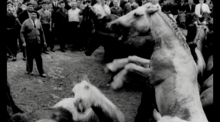 Lejos de los árboles/ Far from the trees (1972) dir, Jacinto&nbsp;★★★★★