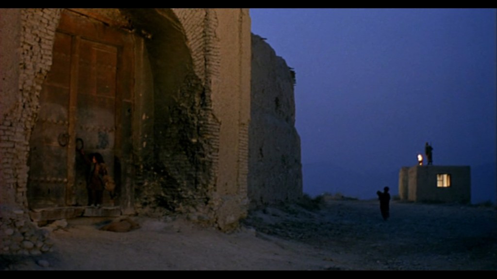 سگ‌های ولگرد/Stray Dogs (2004) dir, Marziyeh Meshkiny&nbsp;★★★★★